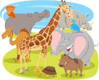 Classes of Animals in English