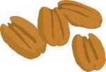 nuts