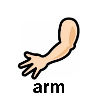 arm