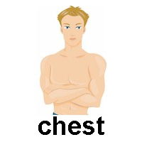 chest