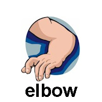 elbow