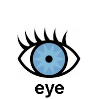 eye