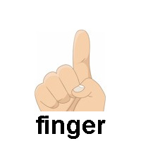 finger