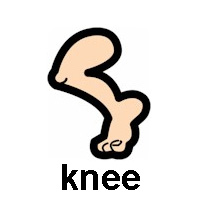 knee