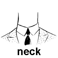 neck