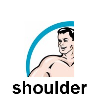 shoulder