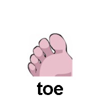 toe