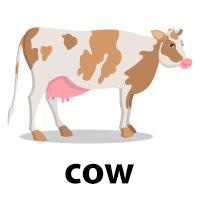 cow