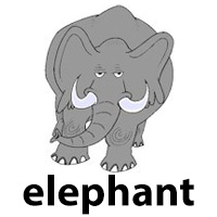 elephant
