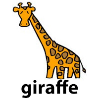 giraffe