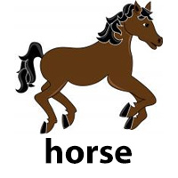 horse