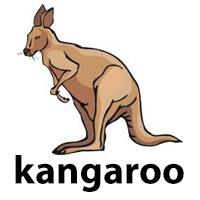 kangaroo