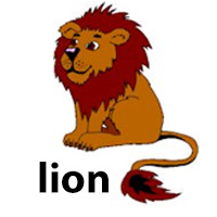 lion