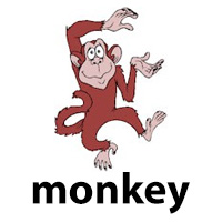monkey