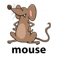 mouse