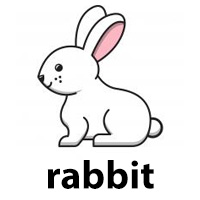 rabbit
