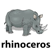 rhinoceros