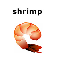 shrimp