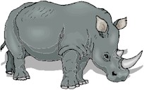 rhinoceros