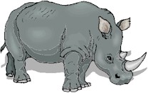 Rhinoceros