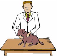 veterinarian