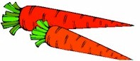 carrots