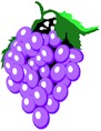 grapes