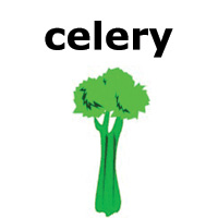 celery