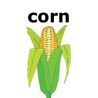 corn