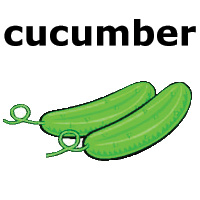 cucumber