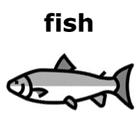 fish