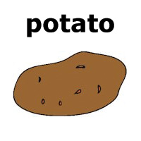 potato