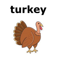 turkey