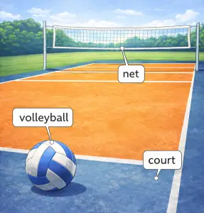 volleyball