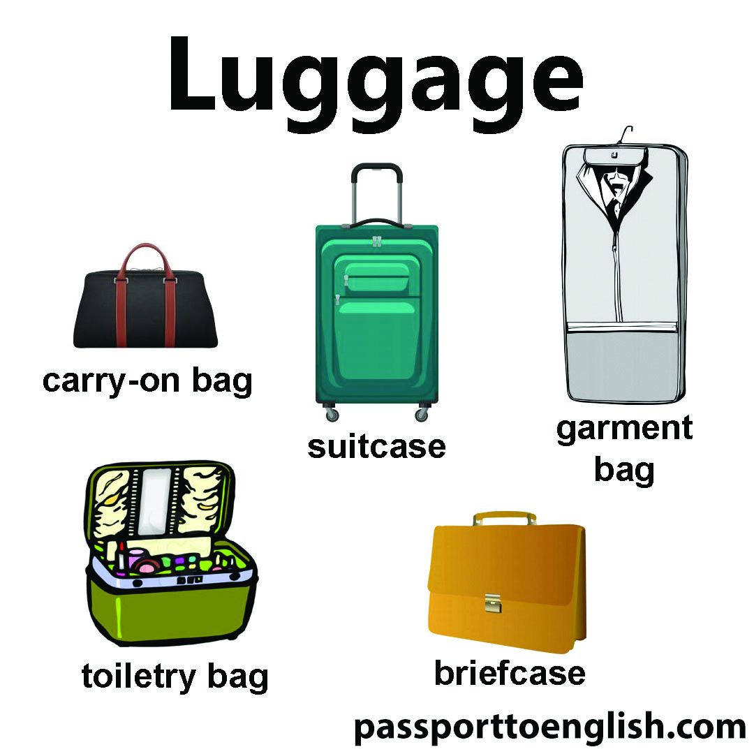 luggage infographic